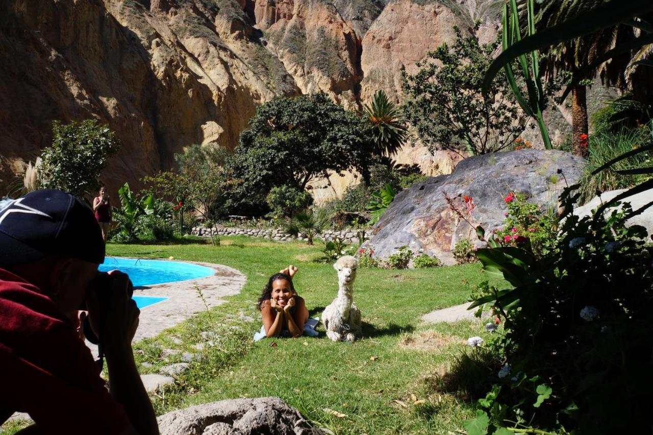 Paraiso Las Palmeras Lodge Cabanaconde Exteriör bild