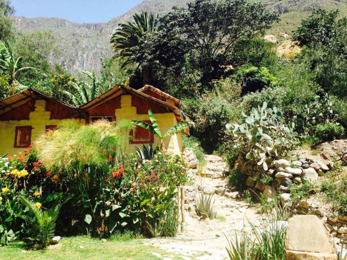 Paraiso Las Palmeras Lodge Cabanaconde Exteriör bild