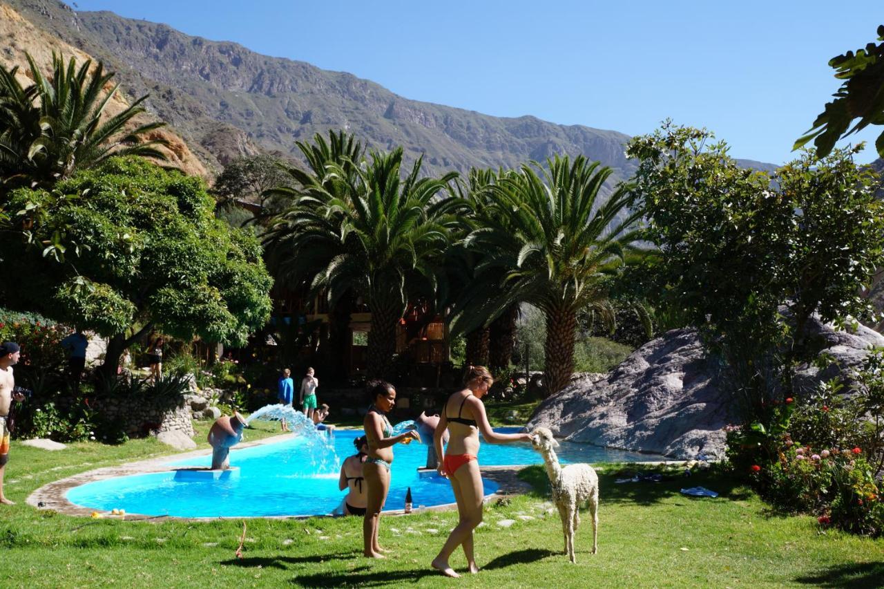 Paraiso Las Palmeras Lodge Cabanaconde Exteriör bild