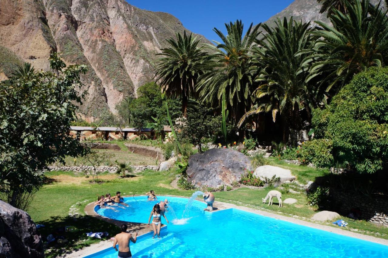 Paraiso Las Palmeras Lodge Cabanaconde Exteriör bild