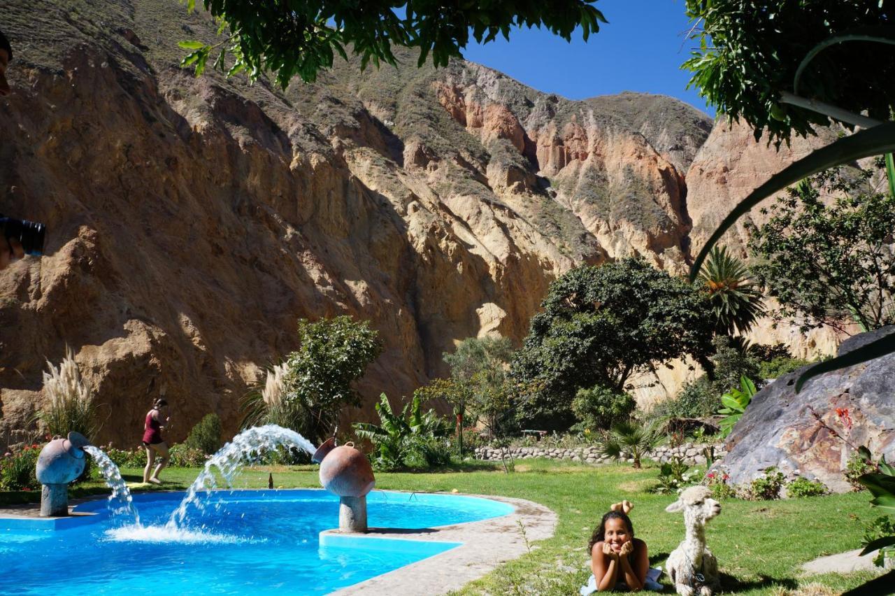 Paraiso Las Palmeras Lodge Cabanaconde Exteriör bild